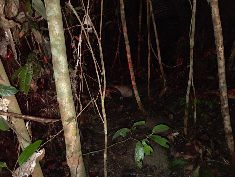 Mototaxista é encontrado morto no Tarumã; polícia investiga latrocínio