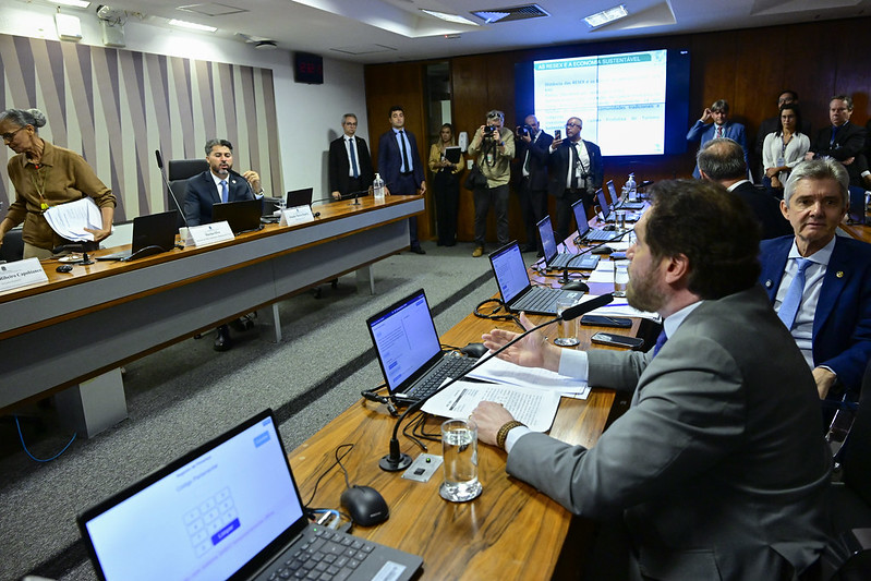 Instituto aciona Conselho de Ética contra Plínio e Marcos Rogério por ataques a Marina Silva