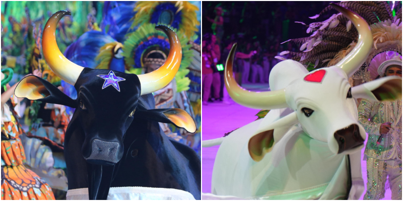 Mostra de Teatro apresenta espetáculo regional e festa dos bois-bumbás Garantido e Caprichoso