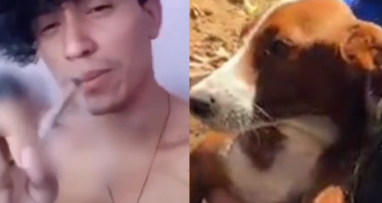 Vídeo: Jovem fuma maconha com cachorro em Manaus; veja