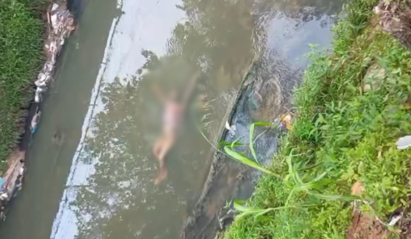 Imagem forte: corpo é encontrado em igarapé na avenida Brasil