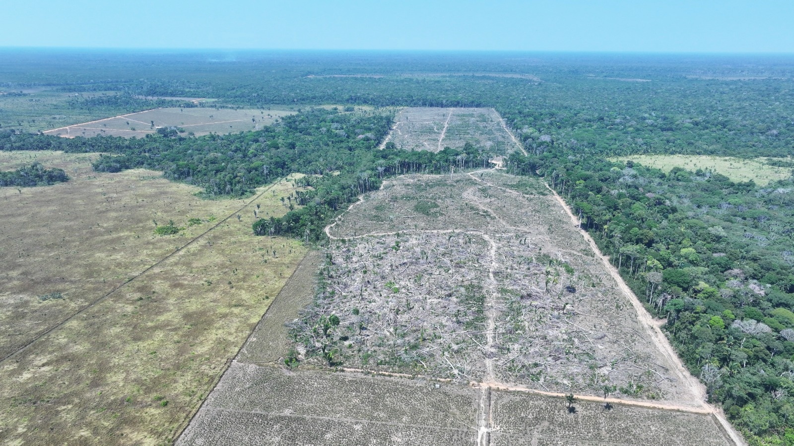 Operação Tamoiotatá 5: Ipaam aplica mais de R$ 30 milhões em multas ambientais