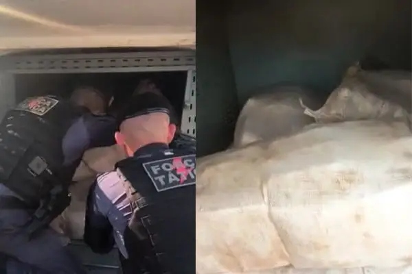 Vídeo: PMAM  apreende 341 quilos de drogas escondidos em vala na zona Norte e Manaus