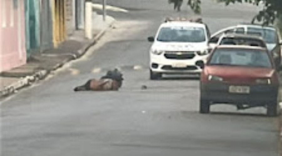 Vídeo: Idoso é morto a pedradas por causa de dívida de R$ 20