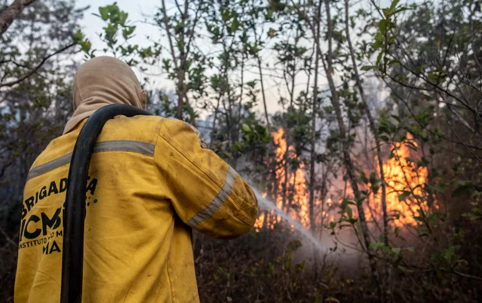 Governo anuncia envio de 149 brigadistas para combate a incêndios no AM