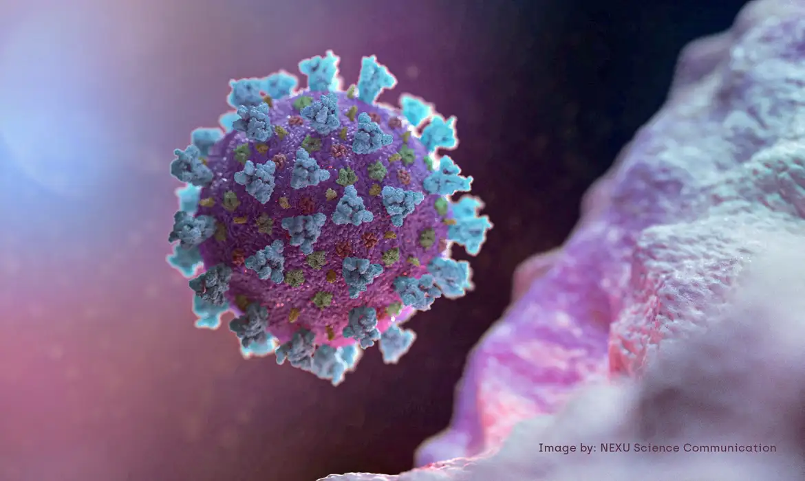 Pesquisa avalia sequelas da covid-19 na população brasileira