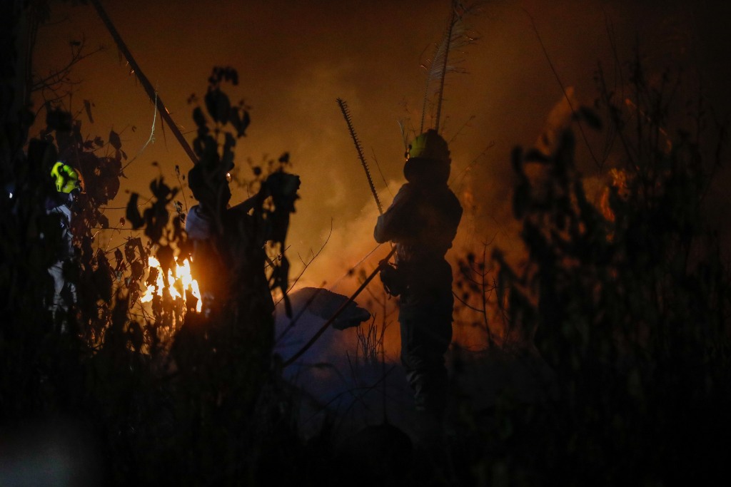 Bombeiros combatem 362 focos de incêndios em Humaitá e Apuí nos últimos sete dias