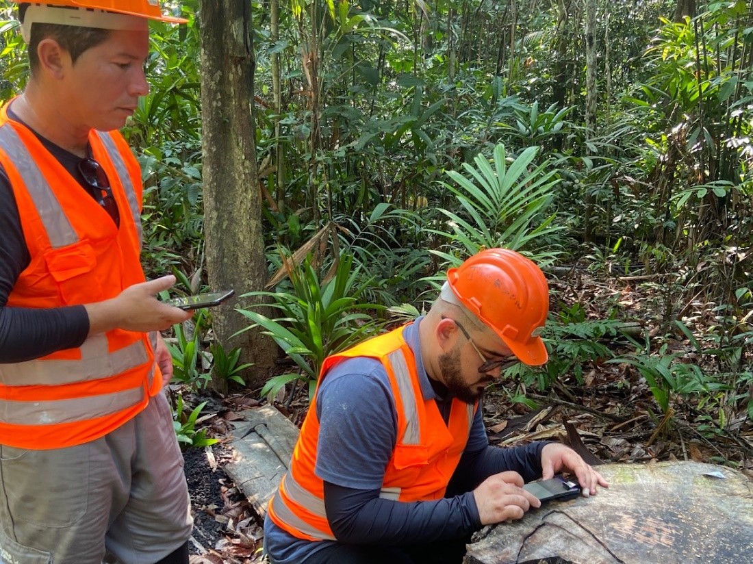 Projeto usa app para identificar e agilizar fiscalizações de madeiras da Amazônia