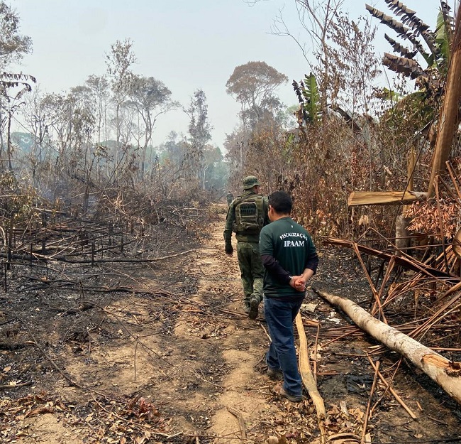 Em 2024, Operação Tamoiotatá aplica mais de R$ 180 milhões em multas