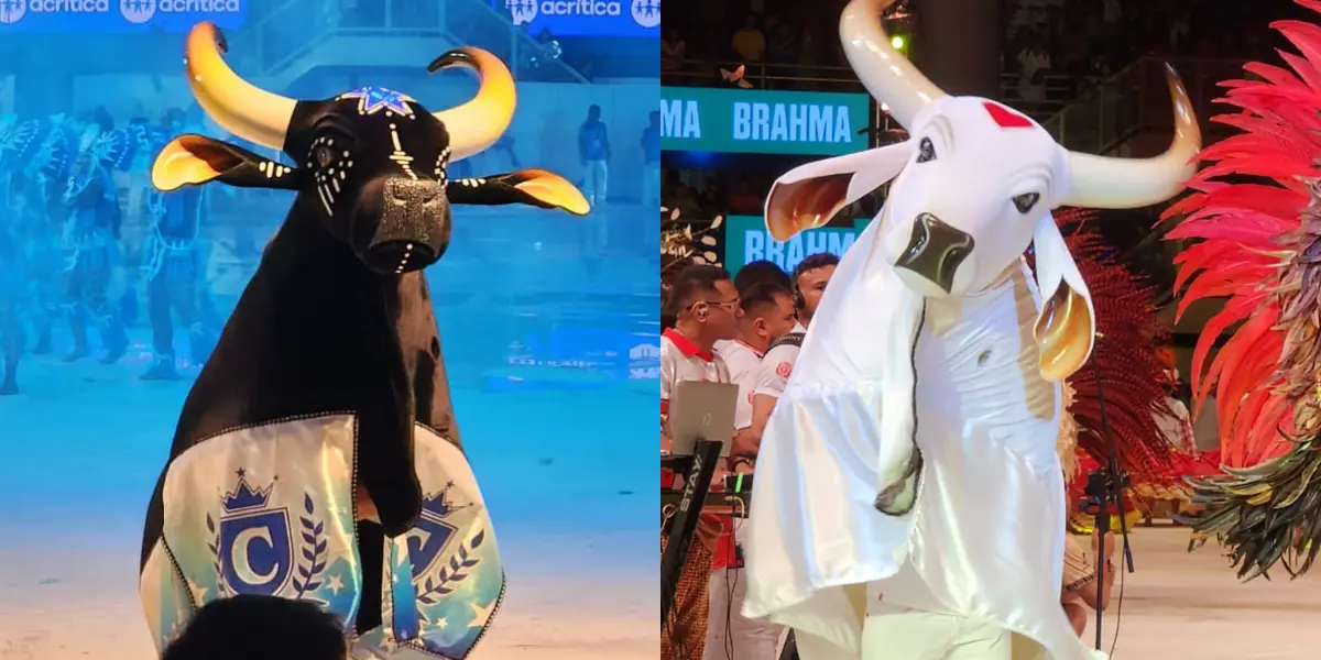 Bois de Parintins lançam editais para seleção de toadas do Festival Folclórico 2025