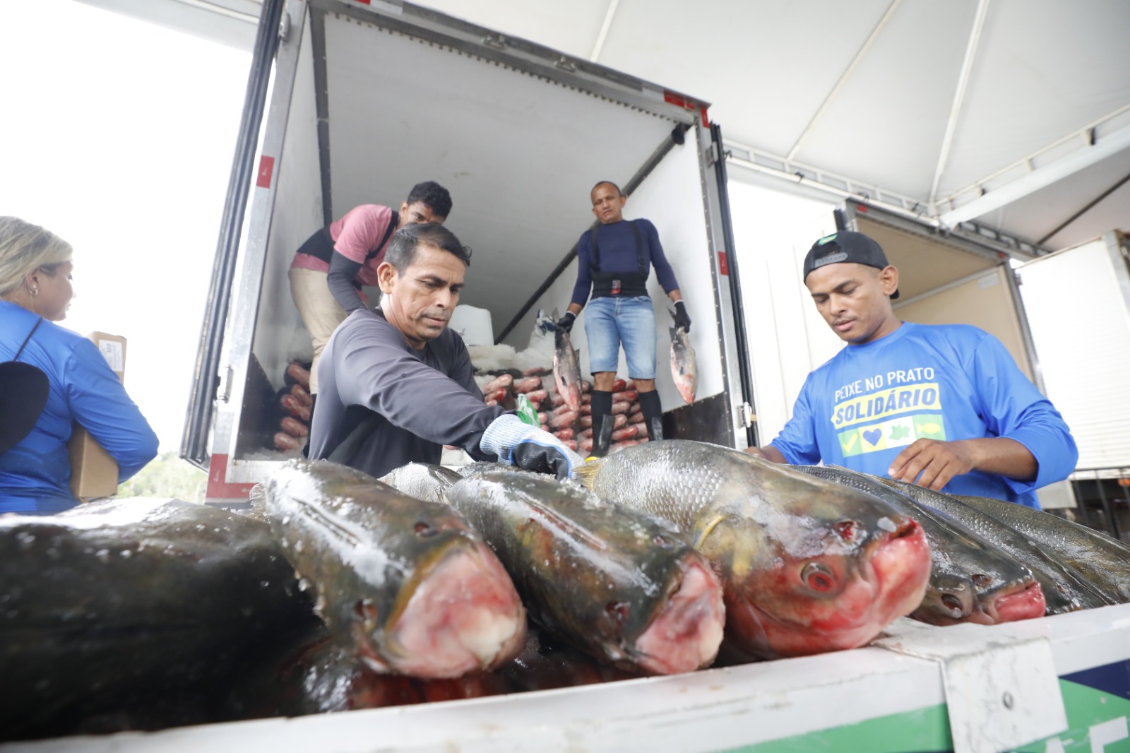 Semana Santa: Governo do AM inicia entrega de 470 toneladas de peixe