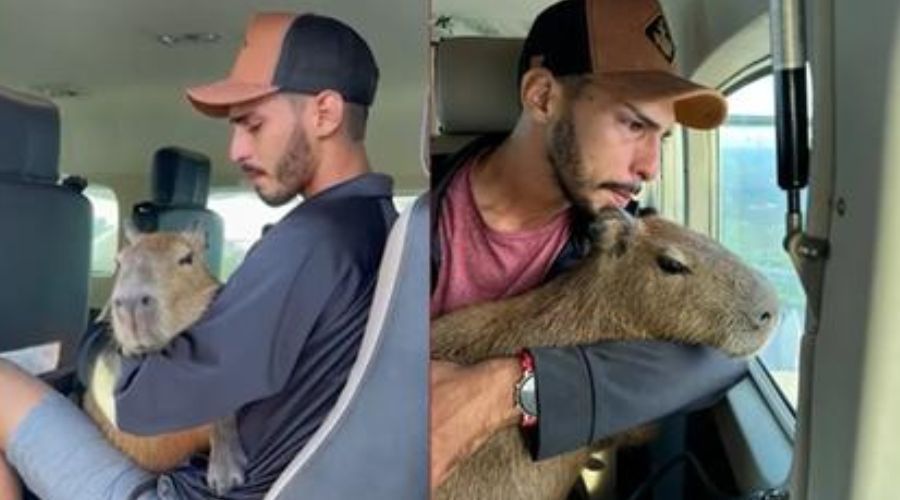 Vídeo: Agenor tem taquicardia após ser impedido de ver Filó em Manaus