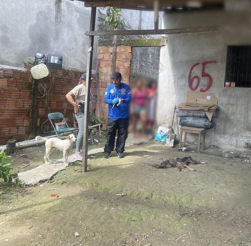 Mulher é presa por maus-tratos a dois cães no bairro Colônia Terra Nova