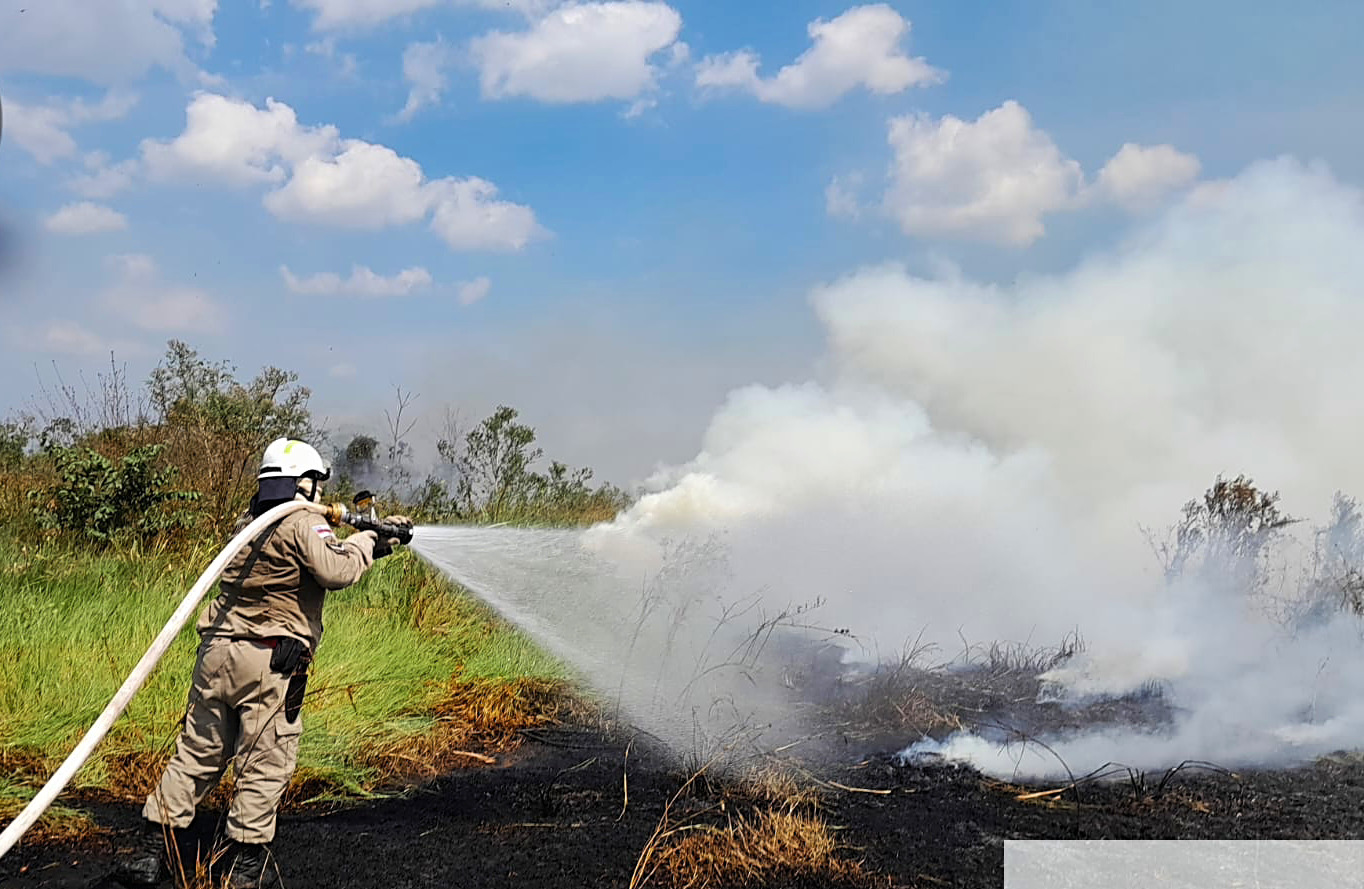 Corpo de Bombeiros envia militares para combater focos de incêndio em Borba
