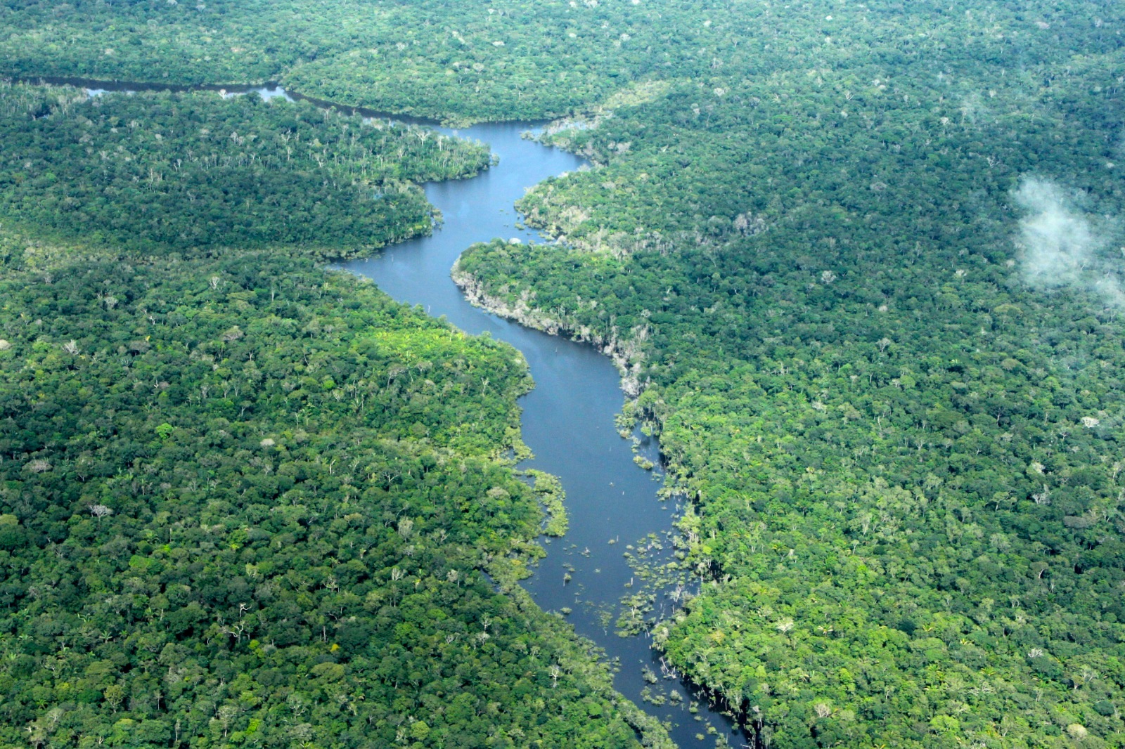 Amazonas tem menor número de alertas de desmatamento dos últimos oito anos
