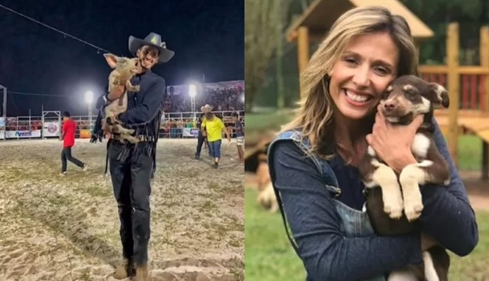 Vídeo: Luísa Mell posta vídeo acusando Agenor de maus-tratos contra porco