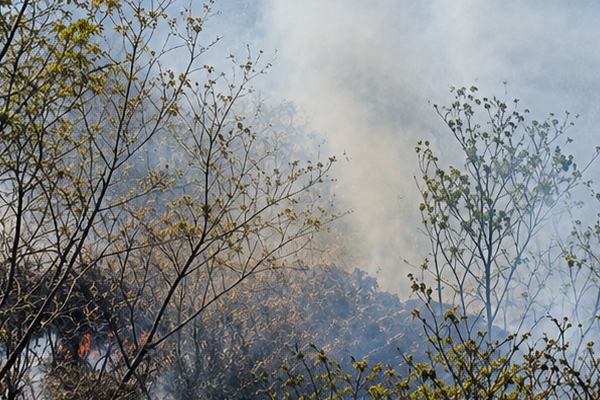 Incêndio atinge área de mata no bairro São Raimundo