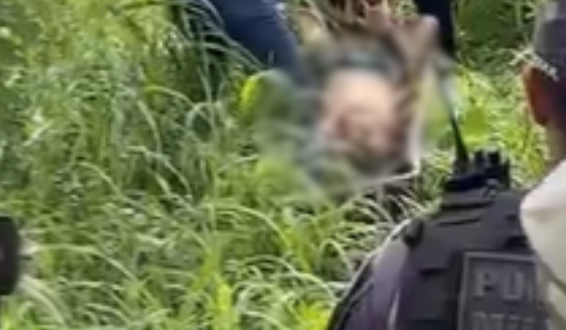 Homem é encontrado degolado em área de mata no Distrito Industrial