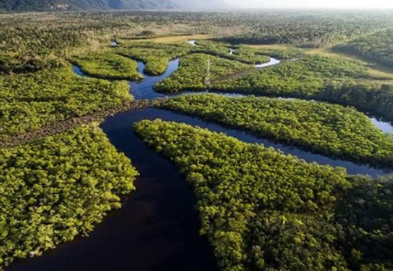 Lula assina decretos que criam quatro reservas na BR-319, no sul do Amazonas