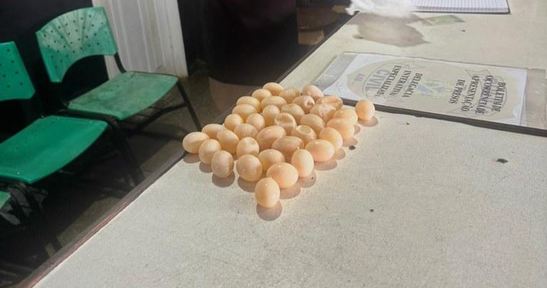 Mulher é presa tentando embarcar com 36 ovos de tracajá em Tefé