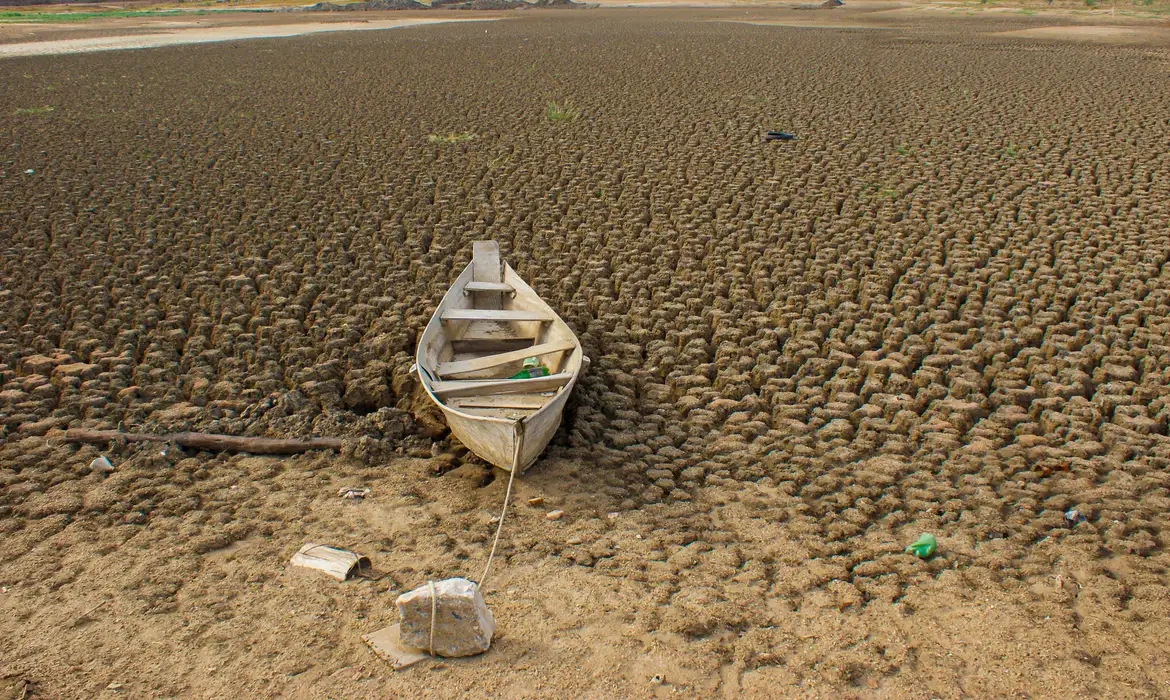 Brasil promete restaurar 163 mil km² de terras degradadas até 2030