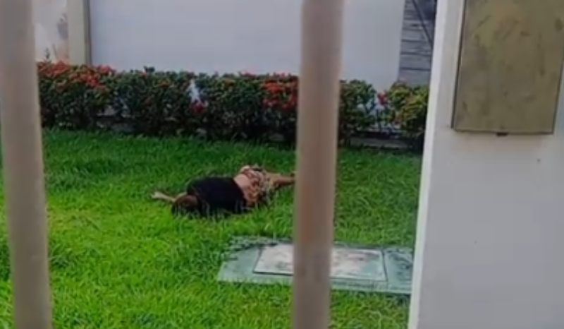 Vídeo: suspeito de furtar fios é encontrado morto em igreja no bairro São José