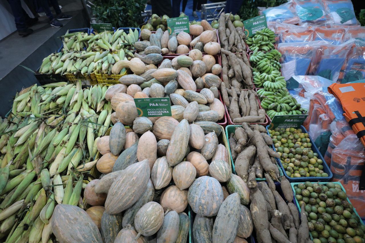 Em Parintins, Governo do AM impulsiona setor primário beneficiando 530 produtores