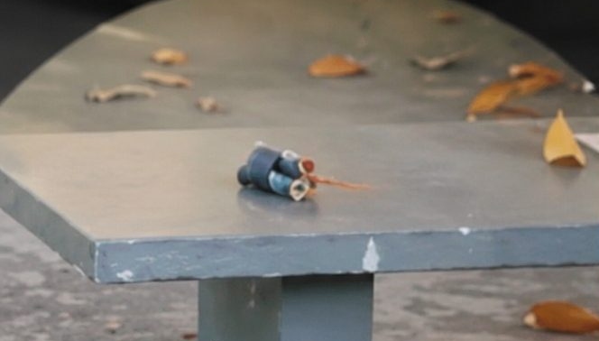Grupo Marte detona artefatos explosivos encontrados em escola da zona leste de Manaus