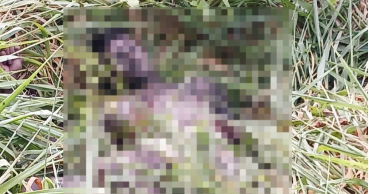 Corpo de jovem com marcas de tiros é encontrado em ramal da AM-010