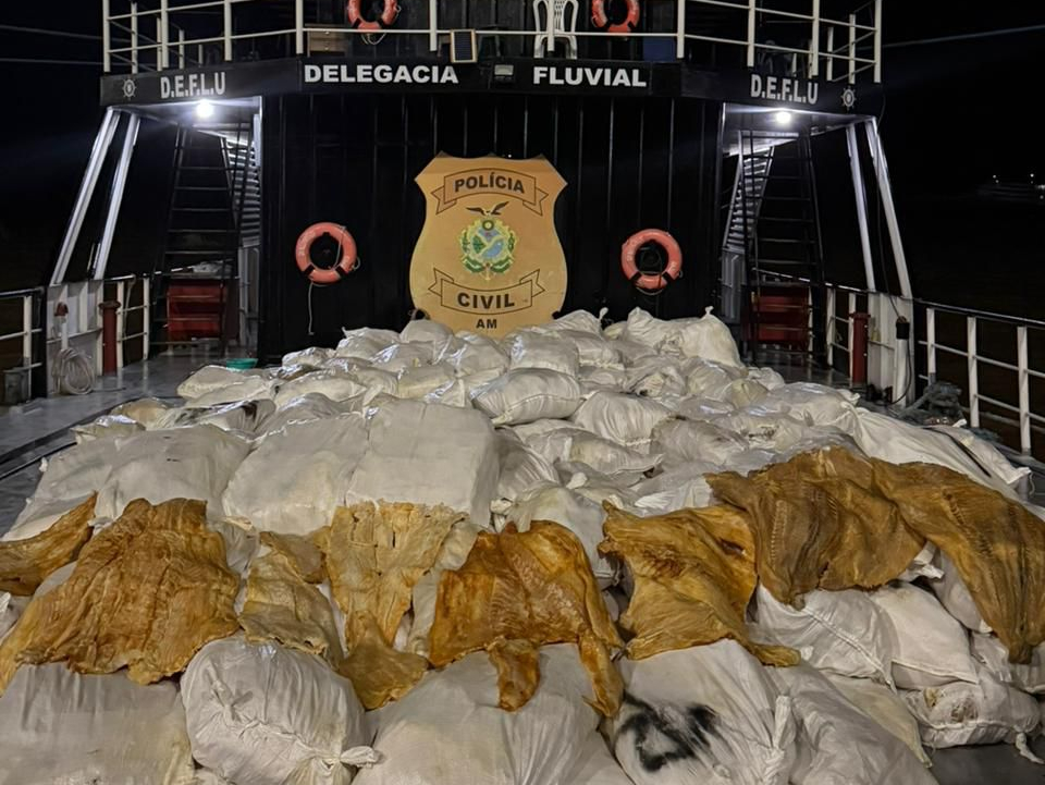 PC-AM apreende 12 toneladas de pirarucu seco em embarcação
