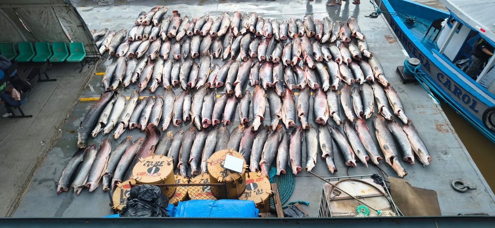 PMAM apreendeu mais de 16 toneladas de pescado ilegal em Coari