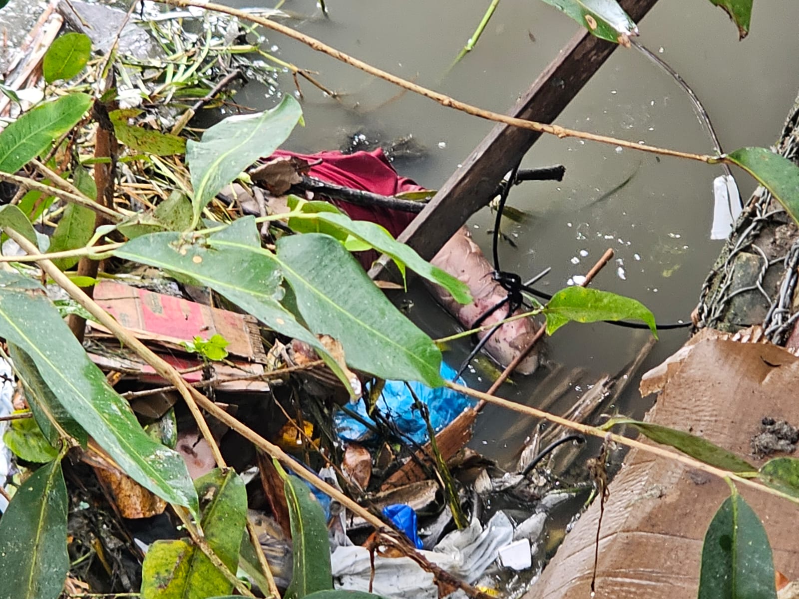 Imagens fortes: Mulher é encontrada morta em igarapé da avenida Alphaville, em Manaus