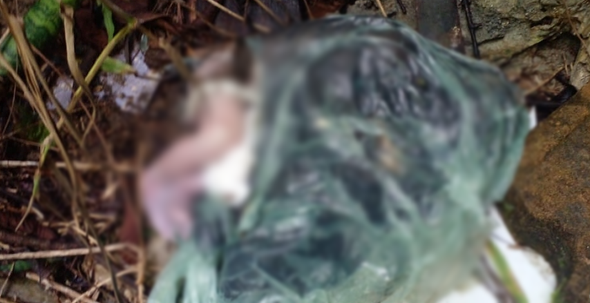 Recém-nascida é encontrada morta dentro de saco plástica em Manaus