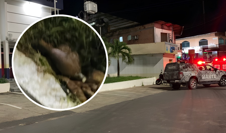 Vídeo: Bomba é deixada na porta de delegacia na Colônia Antônio Aleixo, em Manaus