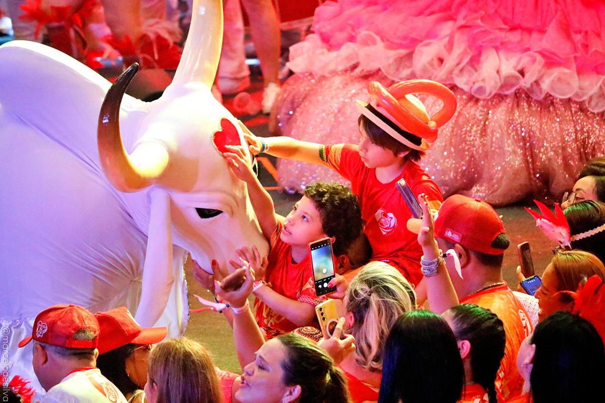 MAG anuncia 1º Curralzinho do Boi Garantido para crianças em Manaus