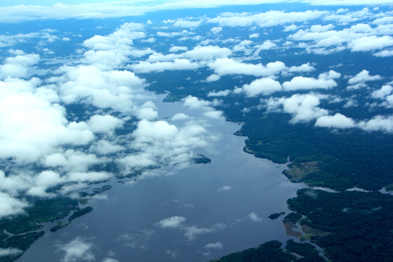 Agosto de 2025 tem menor índice de focos de calor no Amazonas em 14 anos