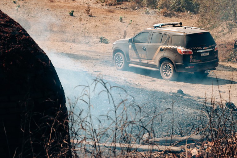 PF e MPT deflagram operação contra o trabalho escravo no AM