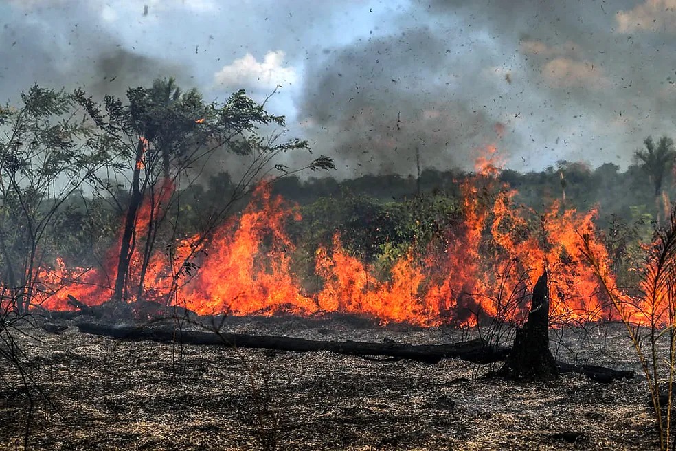 Amazonas registra mais de 600 focos de calor nos primeiros dias de outubro