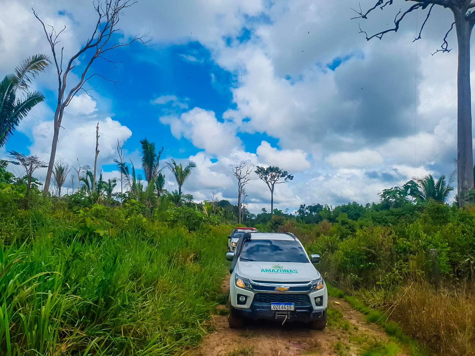 Operação Tamoiotata 3 inicia 4ª fase de combate a crimes ambientais na região Sul do AM