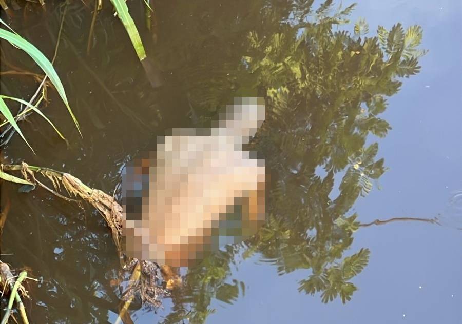 Corpo é encontrado boiando em igarapé na Avenida Brasil