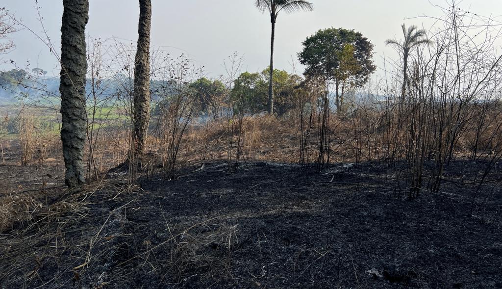PF prende dois homens por queimada ilegal em Iranduba