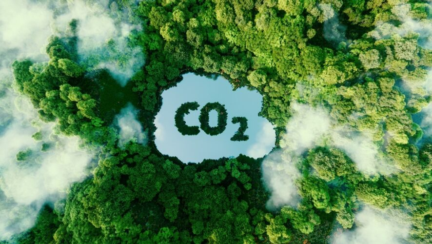 Mercado de carbono e sustentabilidade é tema de seminário no TCE-AM