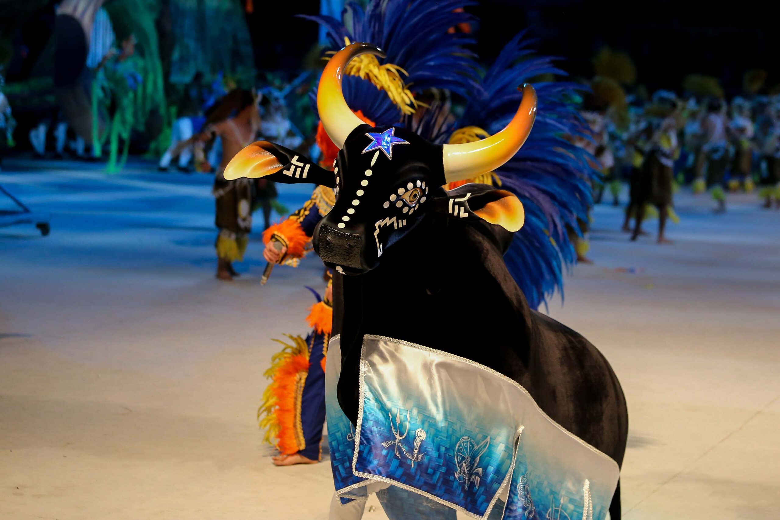 Marujada Fest festeja os 110 anos do Boi Caprichoso em Manaus