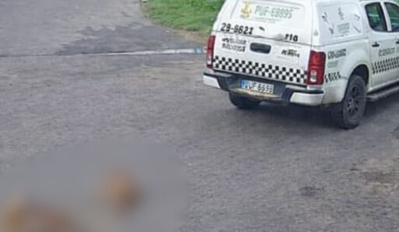 Vídeo: viatura da PM atropela e mata cachorros no bairro Novo Aleixo
