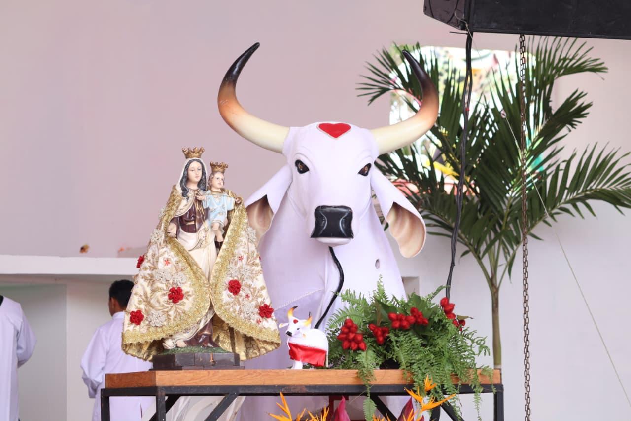 Boi Garantido abre oficialmente os trabalhos nos galpões para o Festival 2026