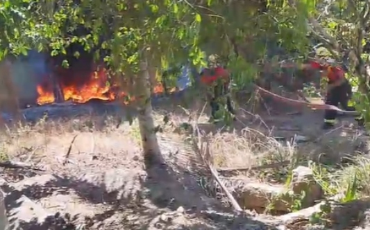 Vídeos: incêndio atinge terreno no bairro Nova Cidade