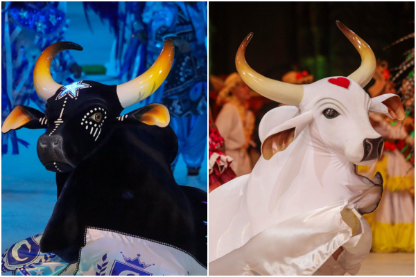 Tokio Marine Seguradora anuncia patrocínio ao 59º Festival de Parintins em 2026