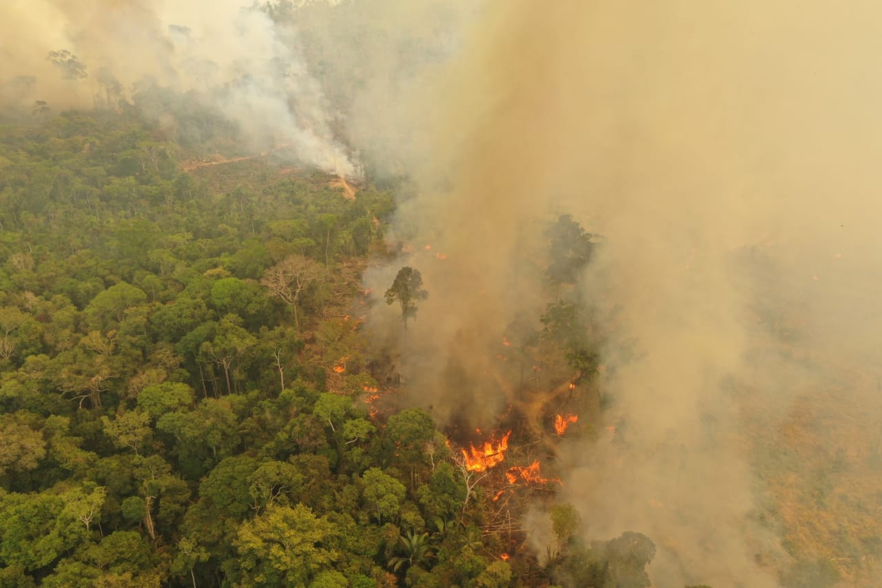 Governo federal anuncia seis aeronaves e 290 brigadistas para combater queimadas no Amazonas
