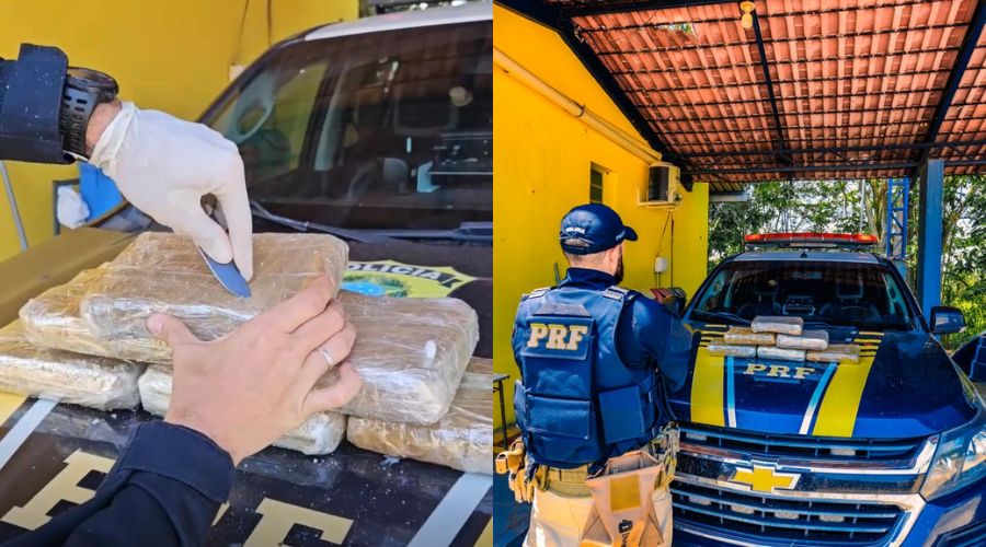 Passageira é presa com 6,2 kg de maconha em ônibus na BR-319