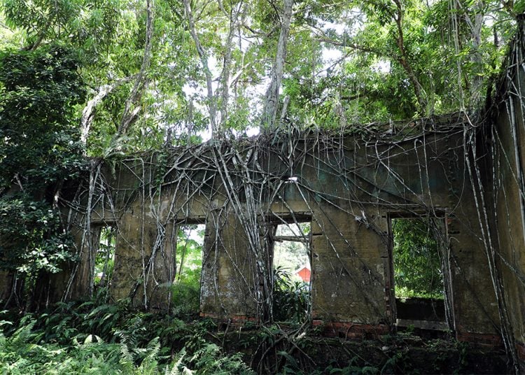 Ruínas de Paricatuba serão cercadas e escoradas para segurança dos visitantes
